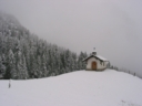 IMG_7493.JPG