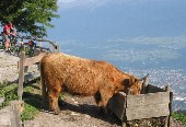 Höttingeralm