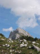 IMG_3847.JPG IMG_3847.JPG
