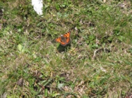 IMG_3860.JPG IMG_3860.JPG