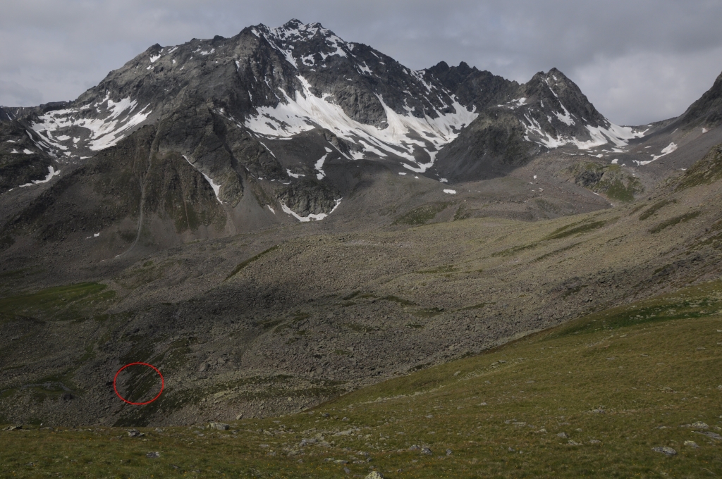 Blick nach Westen auf den Seeblaskogel. Irgendwo ganz unten der Weg zur Winnebachseehütte.