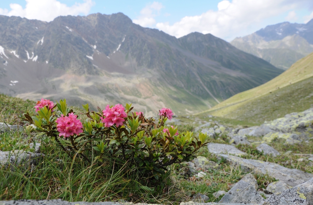 Blick durch das Zwieselbachtal nach Norden.
