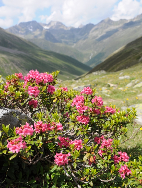 Durch das Zwieselbachtal zur Schweinfurter Hütte.