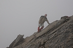 Die Zischgelesspitze zum Greifen nahe. Mein erster 3000er. Die Zischgelesspitze zum Greifen nahe. Mein erster 3000er.