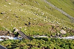 5. Tag: Abmarsch von der Pforzheimer Hütte. Jörg muß nach Hause, ich gehe noch einen Tag weiter. 5. Tag: Abmarsch von der Pforzheimer Hütte. Jörg muß nach Hause, ich gehe noch einen Tag weiter.
