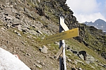 Am Gleirschjöchl. Das Wetter wird immer besser, und ich mache einen Abstecher zum Gleirscher Roßkopf. Am Gleirschjöchl. Das Wetter wird immer besser, und ich mache einen Abstecher zum Gleirscher Roßkopf.