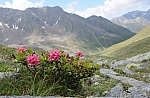 Blick durch das Zwieselbachtal nach Norden. Blick durch das Zwieselbachtal nach Norden.