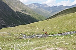 Durch das Zwieselbachtal zur Schweinfurter Hütte. Durch das Zwieselbachtal zur Schweinfurter Hütte.