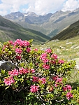 Durch das Zwieselbachtal zur Schweinfurter Hütte. Durch das Zwieselbachtal zur Schweinfurter Hütte.